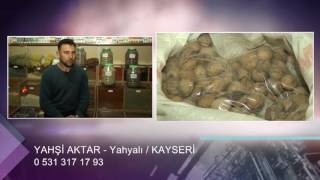 YAHŞİ AKTAR - KAYSERİ YAHYALI AKTAR