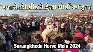 हजारो की भीड़ में दिखाया डांस वाले घोड़ों ने अपना हुनर | sarangkheda horse mela 2024 | horse dance