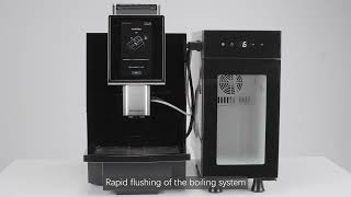 Dr.Coffee F12Q: Brewing system deep cleaning