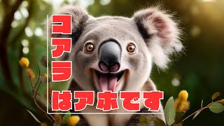 【動物雑学】コアラはアホです。