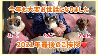 2021年最後のご挨拶♪今年もお世話になりました🐾❤️