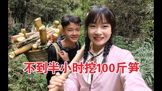 小两口上山挖笋，不到半小时挖100斤，一根比一根大，背都背不动