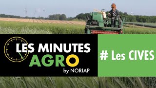 NORIAP - LES MINUTES AGRO - LES CIVE