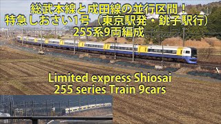 総武本線と成田線の並行区間！特急しおさい1号（東京駅発・銚子駅行）255系9両編成 Limited express \