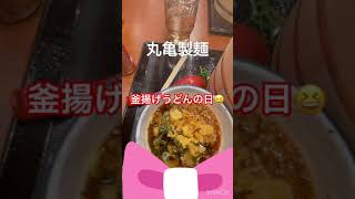 意外と？🤔丸亀製麺で食べるのまだ２回目ニャ🤣毎月1日釜揚げうどんが半額なので特盛税込￥510が￥250余裕で特盛食べちゃった😋#shorts