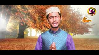 Maula Sadqa Muhammad De -  sabir - New Naats