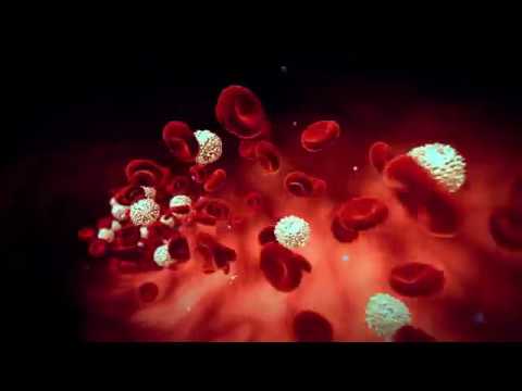 How many blood cells are in blood?