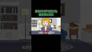 娘をバイクで轢いた暴走族のボス→私「訴えるわよ！」ボス「は？ｗお前の家、特定して火を点けてやろうかｗ」→性根腐ったクズ男に鉄槌を下す #暴走族遭遇 #漫画動画 #スカッとする話#痛いトーク