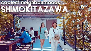 [4K Tokyo]Shimokitazawa, coolest neighbourhoods・thrifting/下北沢 reload・線路街・古着屋[2022.5.3]