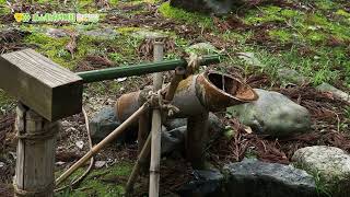 【東山動植物園公式】ししおどしの音。《 植物園 》