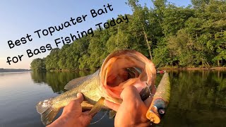 Best Topwater Bait for Bass Fishing Today