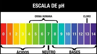 QUÉ ES EL pH Y CÓMO LO MEDIMOS (INDICADORES Y pH METROS)