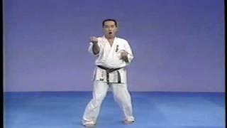 karate kyokushin sanchin kata