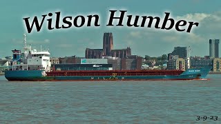 Wilson Humber's Picturesque Voyage on the River Mersey