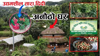 उधमशील तारा दिदीको  तरकारी खेतीबाट लाखौ आम्दानी | Tarakari Kheti | Farming In Nepal | Farming Vlog