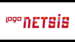 Netsis HESAP PLANI