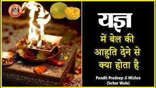 #यज्ञ में बेल की आहुति देने से क्या होता है  #Pandit Pradeep Ji Mishra Sehor Wale