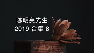 陈明亮先生 2019合集 8｜允许一切情况的发生，不在乎发生了什么情况，而是看到任何情况都是同 一个情况:它的神圣能量脉冲。这就是秘密。