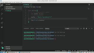 3 ways to declare and initialize a variable in Go (golang)