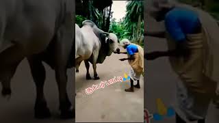 இந்த பாட்டியின் பாசம் வீர தமிழச்சியின் பாசம் 🙏🙏#shorts #viral