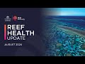 Reef health update | 13 August 2024