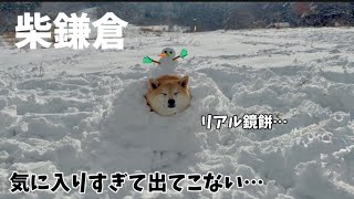 雪山で鎌倉を作った結果、気に入りすぎて出てこなくなった柴犬が面白すぎました…