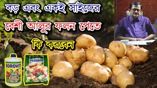 ভালো আলু চাষের সঠিক পদ্ধতি # Borovita , Reegain use in Potato farming by J.C.Biotech +919434022393