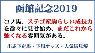 「函館記念2019」出走予定馬・予想オッズ・人気馬見解