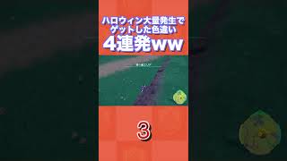 ハロウィン大量発生でゲットした色違い4連発ww【ポケモンSV/藍の円盤/ゼロの秘宝】