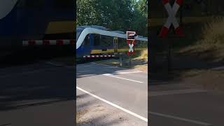 NWB RB 58 in Vechta #shorts