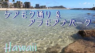 【ハワイ】ケアモク通りとアラモアナパーク　マジックアイランド