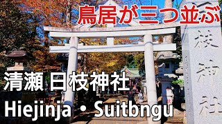 清瀬 日枝神社 \