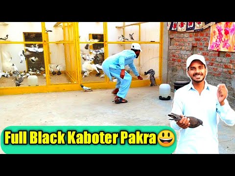 Full Black Kaboter Pakraёяшг Youtube