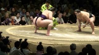 20110521 大相撲ガチンコ場所14日目　安美錦VS魁聖