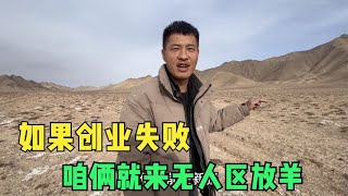 无人区探矿遇到放羊的大哥，如果我们创业失败，就跑到无人区放羊【楼兰阿宁】