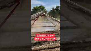 大迫力のマルチ剥がし！！🎥動画提供🎥しもそえだ農園さん。（BGM、カット編集済み）#マルチ剥がし #農業機械 #農家 #農業女子 #農girl農life