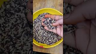 Black rice # evvariki ayyina Kavali ante #msg me