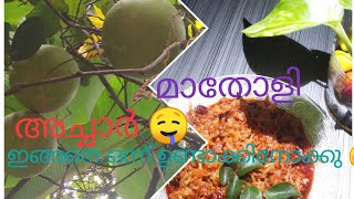 🍋മാതോളി നാരങ്ങ കൊണ്ട്👌 അച്ചാർ  ഉണ്ടാക്കാം