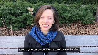 Become a Citizen Scientist