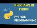 #29 Python Tutorial for Beginners | Inheritance in python | Tek Solutions #teksolutions