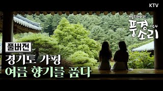 [풍경소리 시즌4] 경기도 가평 여름 향기를 품다 Full ver