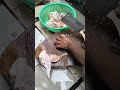 mudah dan simple. skills cutting chicken chicken tutorial shorts