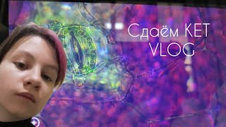 VLOG сдаём международный экзамен KET