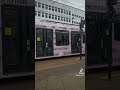 Sheffield (pink tram)