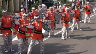 支志團　２０１７　　銭形よさこい　上市会場