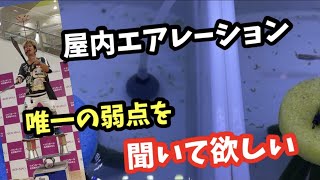 めだかのエアレーションに盲点のデメリットがあります！【メダカ】