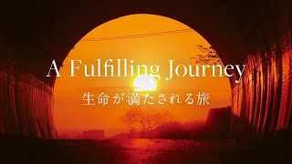 【屋久島】Photogenic: 美しさ映えるフォトジェニックな島 - A Fulfilling Journey 生命が満たされる旅