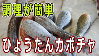 皮を剝かなくていい！ひょうたんカボチャは優秀！【料理】