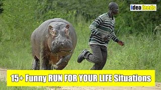 15+ Funny RUN FOR YOUR LIFE Situations - Try Not To Laugh