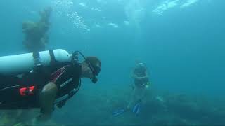 @trinamason \u0026 Popi scuba diving together underwater Florida keys at Jesus the Christ July 24 2021